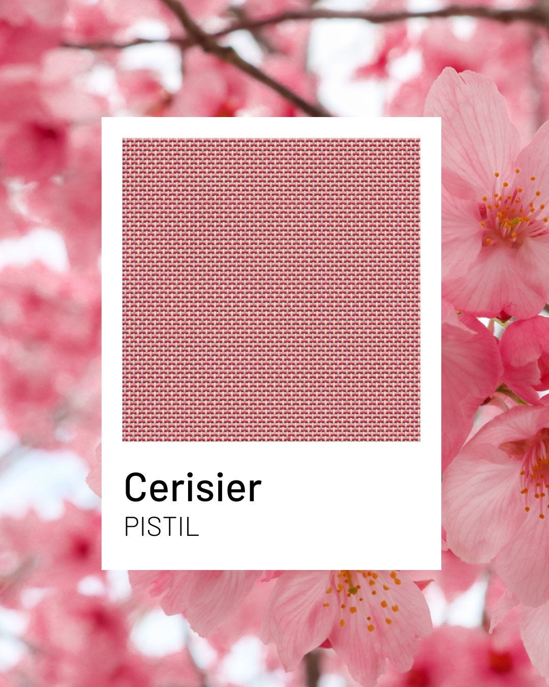 Cerisier, une nuance douce et chaleureuse de la collection Pistil signée Lafuma Mobilier