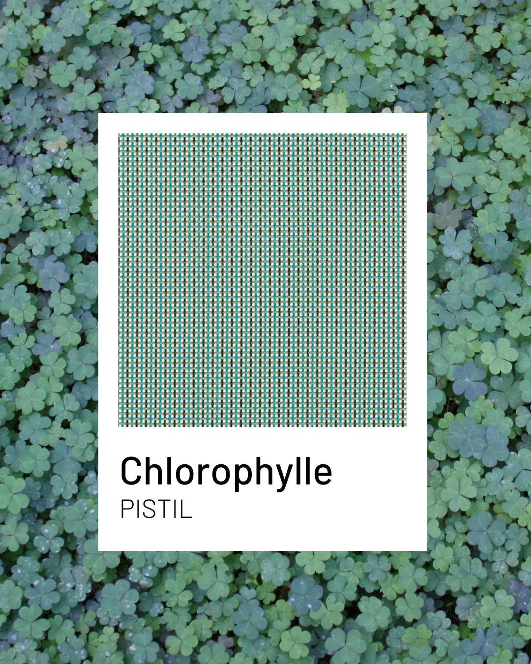 Chlorophylle, un colori naturel et intense pour vos terrasses I Lafuma Mobilier