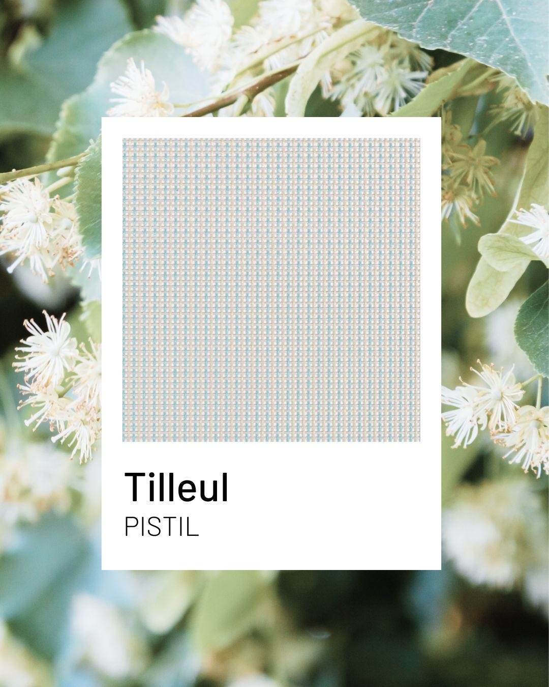 Tilleul, une teinte fraîche et apaisante pour le mobilier de jardin durable I Lafuma Mobilier